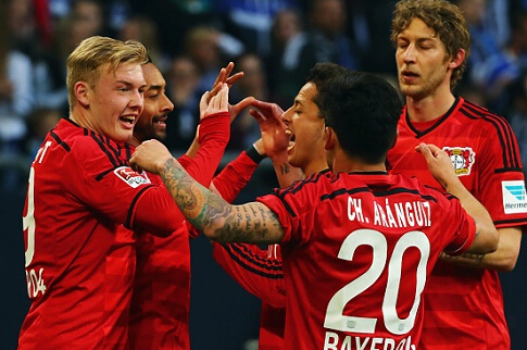 的多样化 的多样化